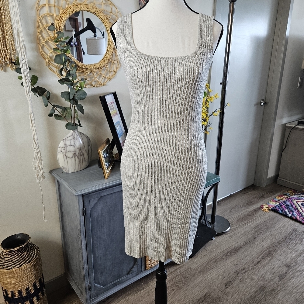CARMEN MARC VALVO Beaded Metallic Silver Bodycon Dress Size Small